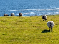 Achill Island, County Mayo